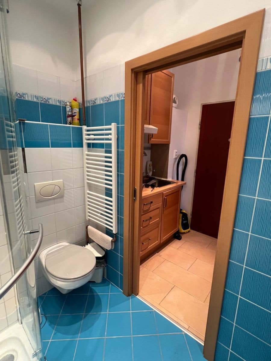 Pronájem bytu 1+kk 28 m², Cihlářská, Brno, Jihomoravský kraj Pronájem bytu 1+kk 28 m², Cihlářská, Brno, Jihomoravský kraj