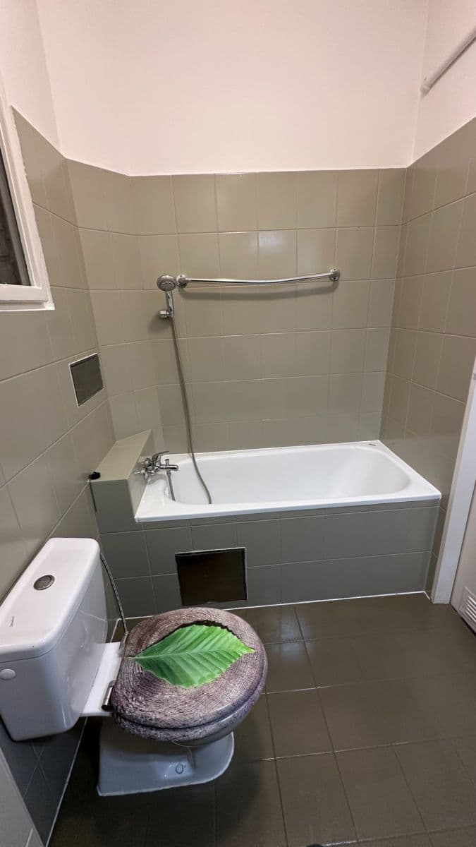 Pronájem bytu 2+kk 55 m², Velehradská, Praha, Praha Pronájem bytu 2+kk 55 m², Velehradská, Praha, Praha