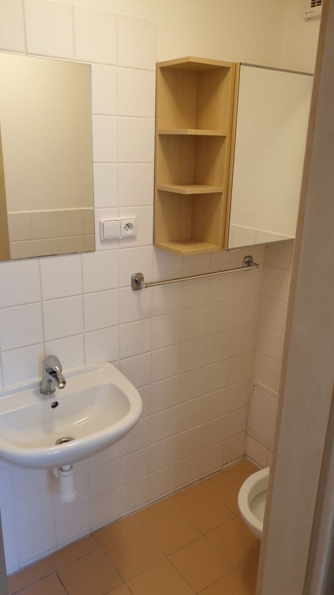 Pronájem bytu 1+kk 32 m², Tábor, Brno, Jihomoravský kraj Pronájem bytu 1+kk 32 m², Tábor, Brno, Jihomoravský kraj