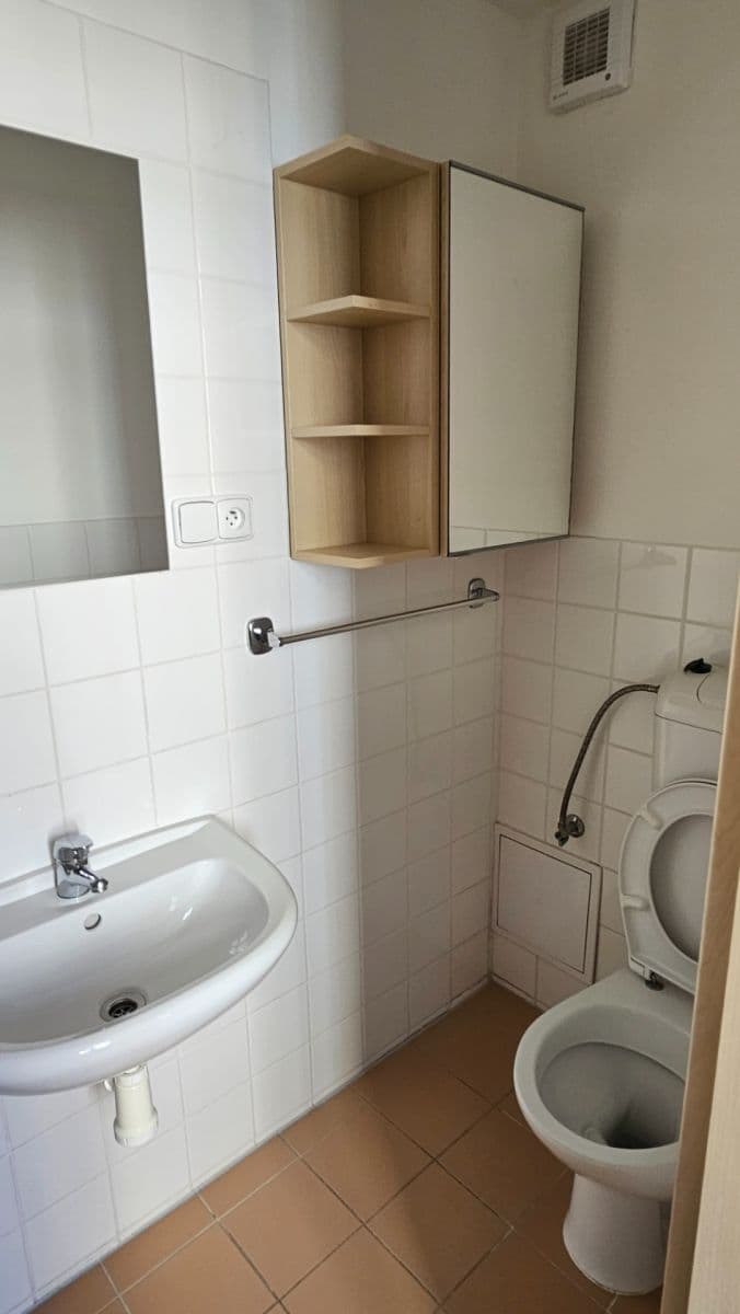 Pronájem bytu 1+kk 32 m², Tábor, Brno, Jihomoravský kraj Pronájem bytu 1+kk 32 m², Tábor, Brno, Jihomoravský kraj