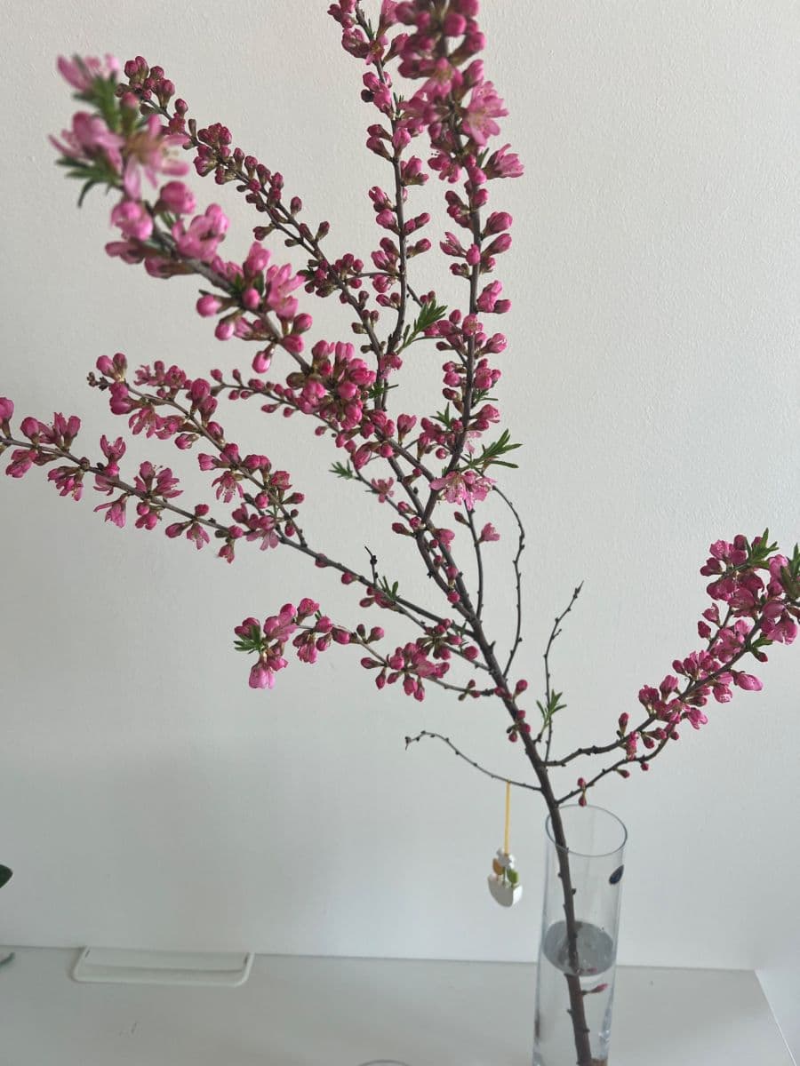 Pronájem bytu 3+kk 57 m², Egyptská, Praha, Praha Pronájem bytu 3+kk 57 m², Egyptská, Praha, Praha