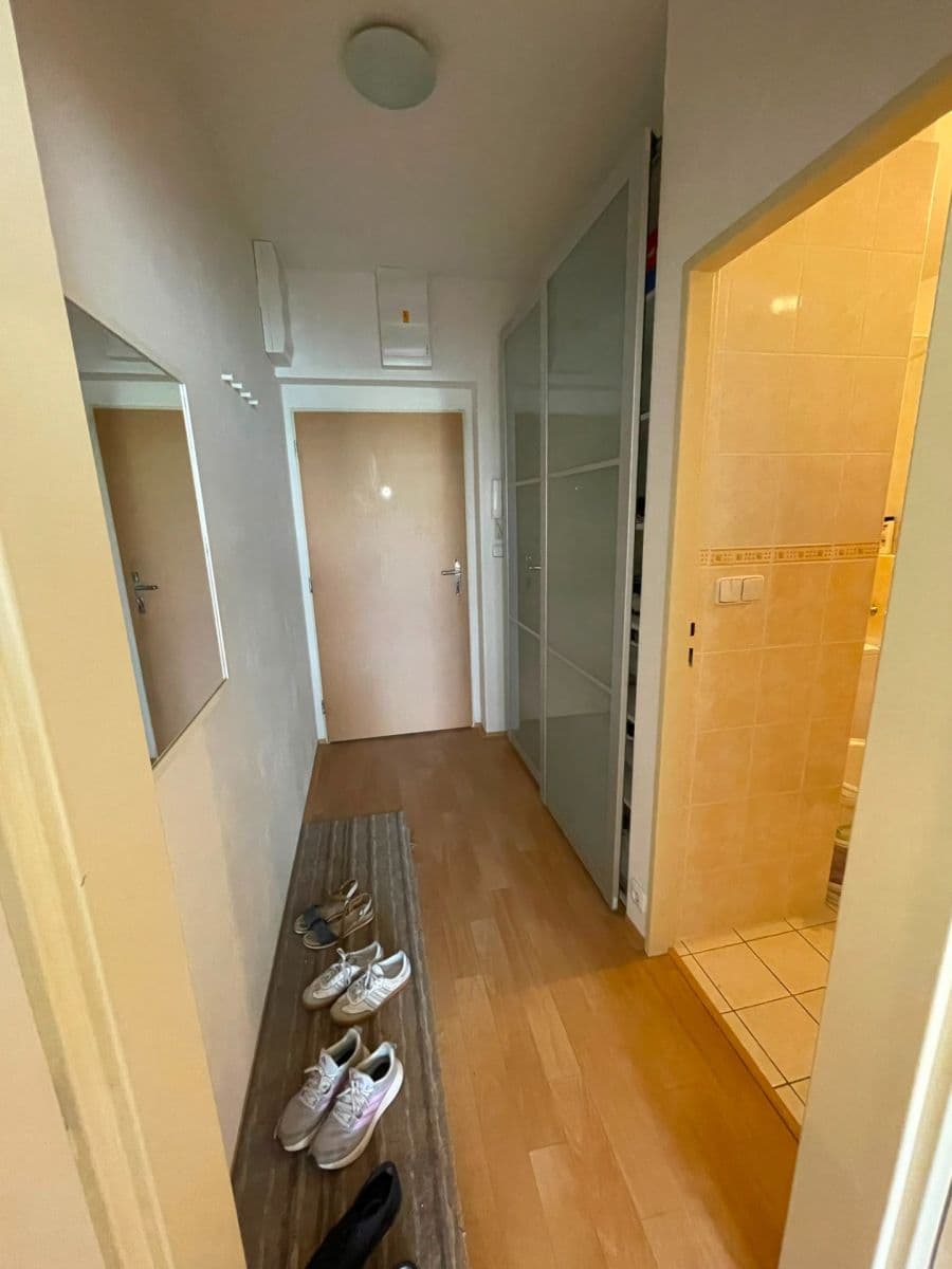 Pronájem bytu 1+kk 30 m², Zderadova, Brno, Jihomoravský kraj Pronájem bytu 1+kk 30 m², Zderadova, Brno, Jihomoravský kraj