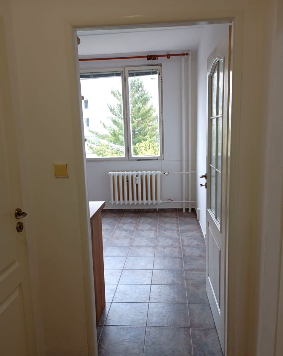 Pronájem bytu 1+1 42 m², Čermákova, Plzeň, Plzeňský kraj Pronájem bytu 1+1 42 m², Čermákova, Plzeň, Plzeňský kraj