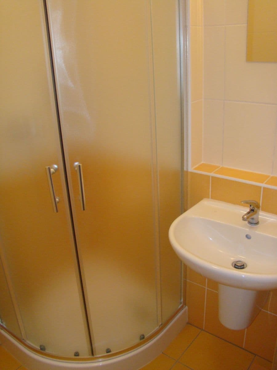 Pronájem bytu 1+kk 28 m², Křídlovická, Brno, Jihomoravský kraj Pronájem bytu 1+kk 28 m², Křídlovická, Brno, Jihomoravský kraj