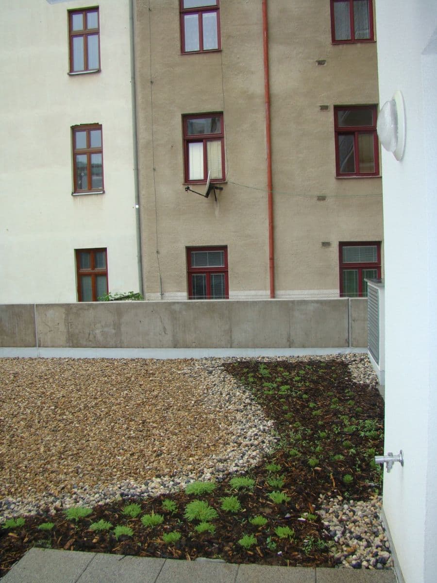 Pronájem bytu 1+kk 28 m², Křídlovická, Brno, Jihomoravský kraj Pronájem bytu 1+kk 28 m², Křídlovická, Brno, Jihomoravský kraj