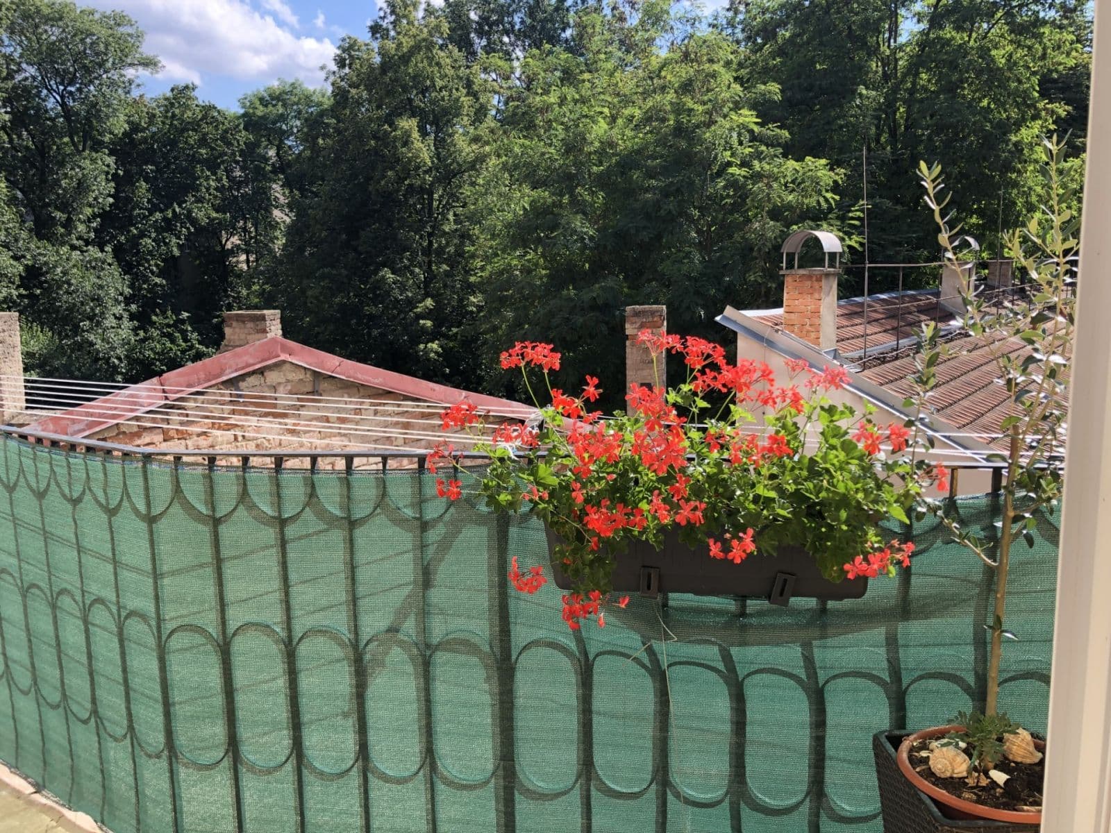 Pronájem bytu 2+1 72 m², Veveří, Brno, Jihomoravský kraj Pronájem bytu 2+1 72 m², Veveří, Brno, Jihomoravský kraj