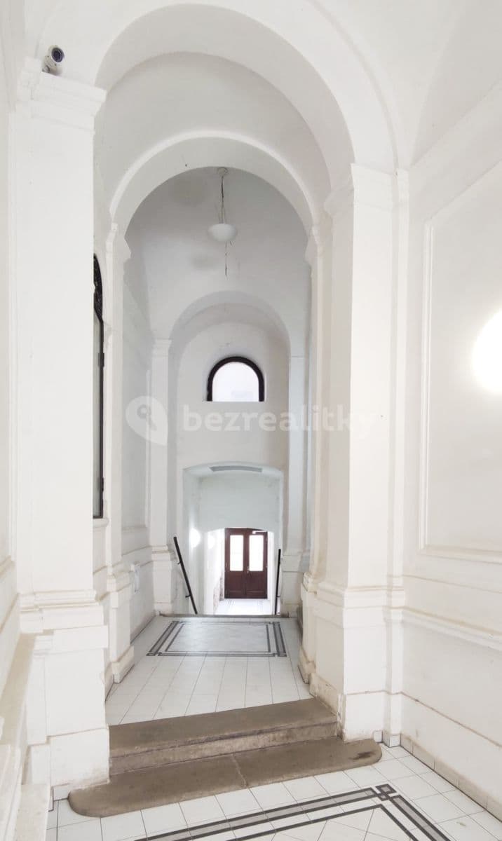 Pronájem bytu 2+kk 65 m², Veveří, Brno, Jihomoravský kraj Pronájem bytu 2+kk 65 m², Veveří, Brno, Jihomoravský kraj