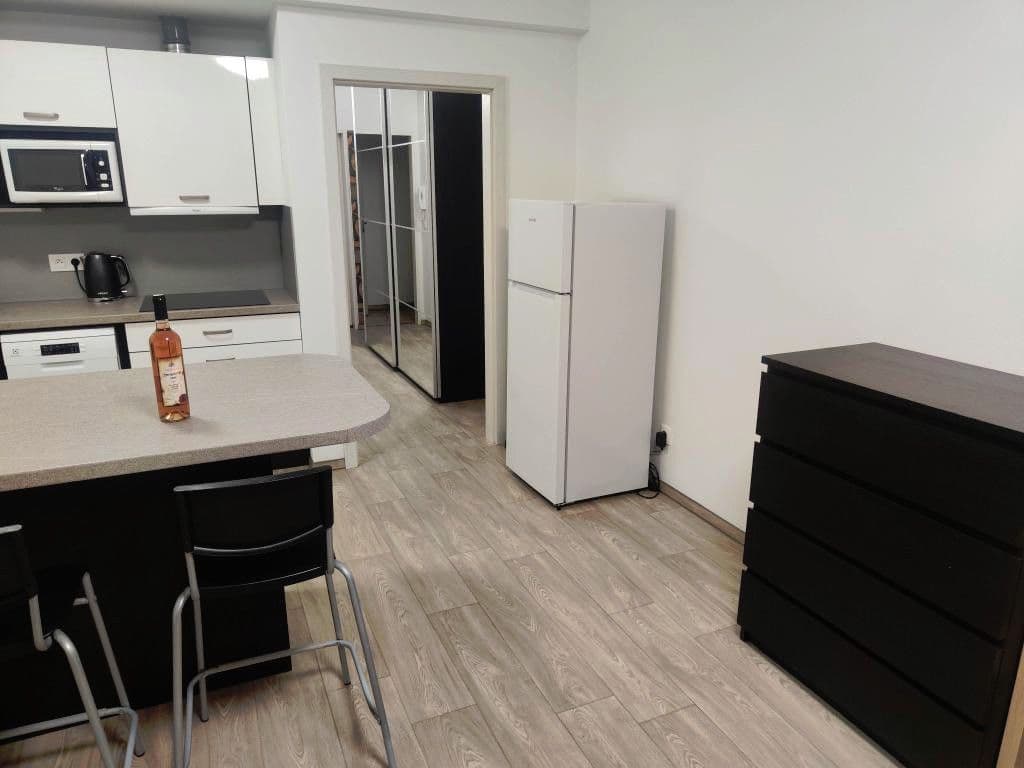 Pronájem bytu 1+kk 40 m², Šikulova, Brno, Jihomoravský kraj Pronájem bytu 1+kk 40 m², Šikulova, Brno, Jihomoravský kraj