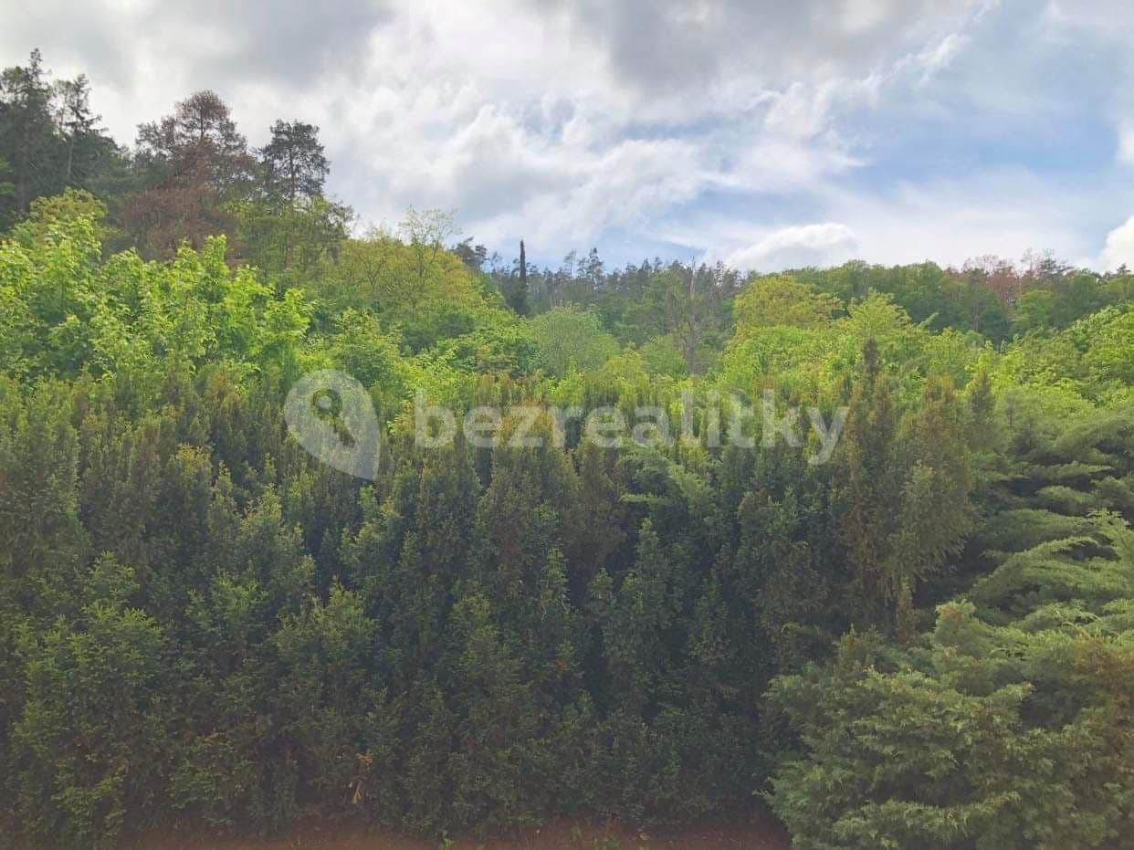 Pronájem bytu 2+1 56 m², Jasanová, Brno, Jihomoravský kraj Pronájem bytu 2+1 56 m², Jasanová, Brno, Jihomoravský kraj