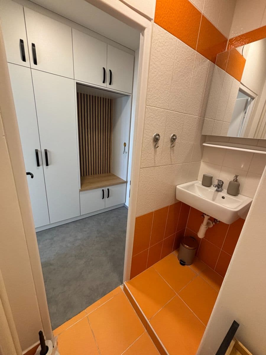 Pronájem bytu 1+kk 24 m², Halasovo náměstí, Brno, Jihomoravský kraj Pronájem bytu 1+kk 24 m², Halasovo náměstí, Brno, Jihomoravský kraj