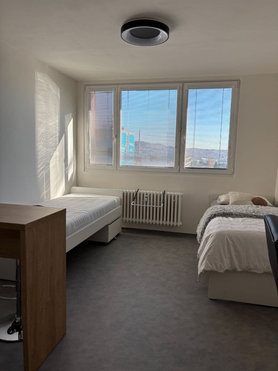 Pronájem bytu 1+kk 24 m², Halasovo náměstí, Brno, Jihomoravský kraj Pronájem bytu 1+kk 24 m², Halasovo náměstí, Brno, Jihomoravský kraj