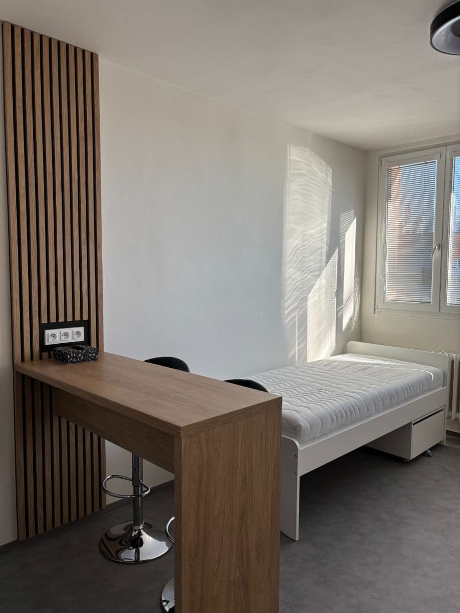 Pronájem bytu 1+kk 24 m², Halasovo náměstí, Brno, Jihomoravský kraj Pronájem bytu 1+kk 24 m², Halasovo náměstí, Brno, Jihomoravský kraj