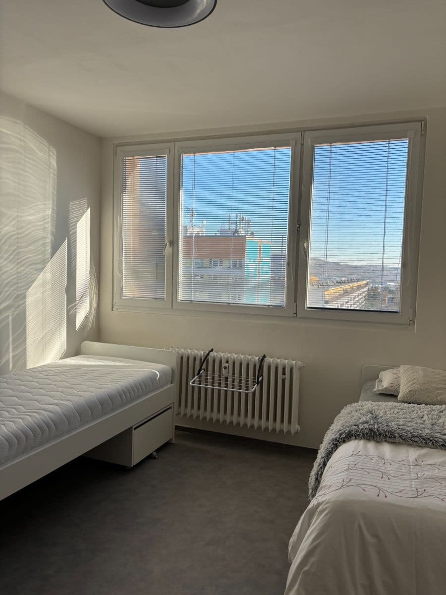 Pronájem bytu 1+kk 24 m², Halasovo náměstí, Brno, Jihomoravský kraj Pronájem bytu 1+kk 24 m², Halasovo náměstí, Brno, Jihomoravský kraj