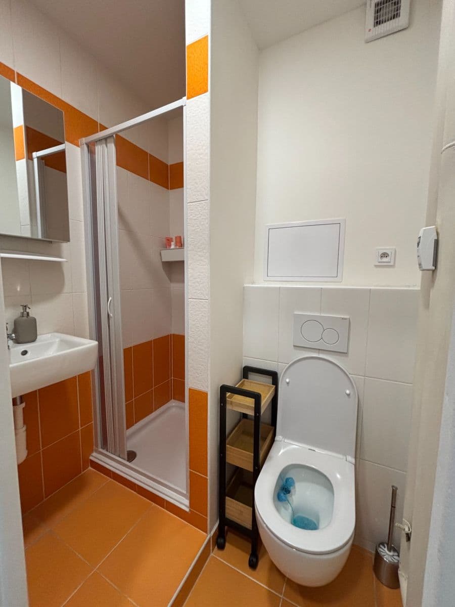 Pronájem bytu 1+kk 24 m², Halasovo náměstí, Brno, Jihomoravský kraj Pronájem bytu 1+kk 24 m², Halasovo náměstí, Brno, Jihomoravský kraj