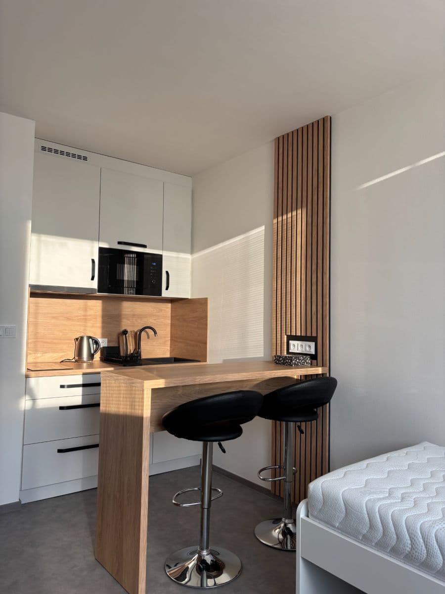 Pronájem bytu 1+kk 24 m², Halasovo náměstí, Brno, Jihomoravský kraj Pronájem bytu 1+kk 24 m², Halasovo náměstí, Brno, Jihomoravský kraj