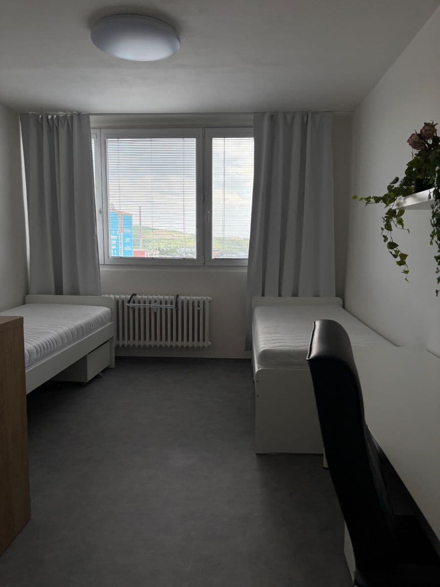 Pronájem bytu 1+kk 24 m², Halasovo náměstí, Brno, Jihomoravský kraj Pronájem bytu 1+kk 24 m², Halasovo náměstí, Brno, Jihomoravský kraj
