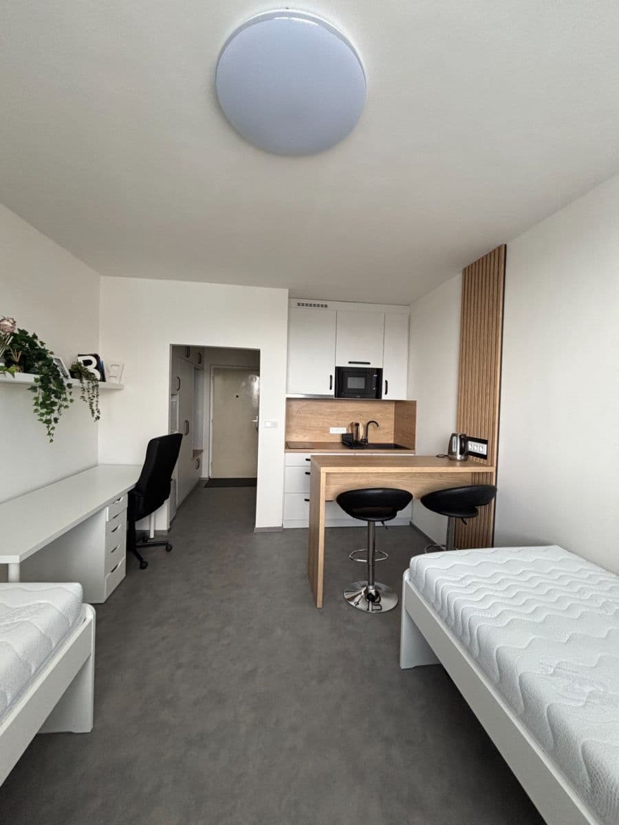 Pronájem bytu 1+kk 24 m², Halasovo náměstí, Brno, Jihomoravský kraj Pronájem bytu 1+kk 24 m², Halasovo náměstí, Brno, Jihomoravský kraj