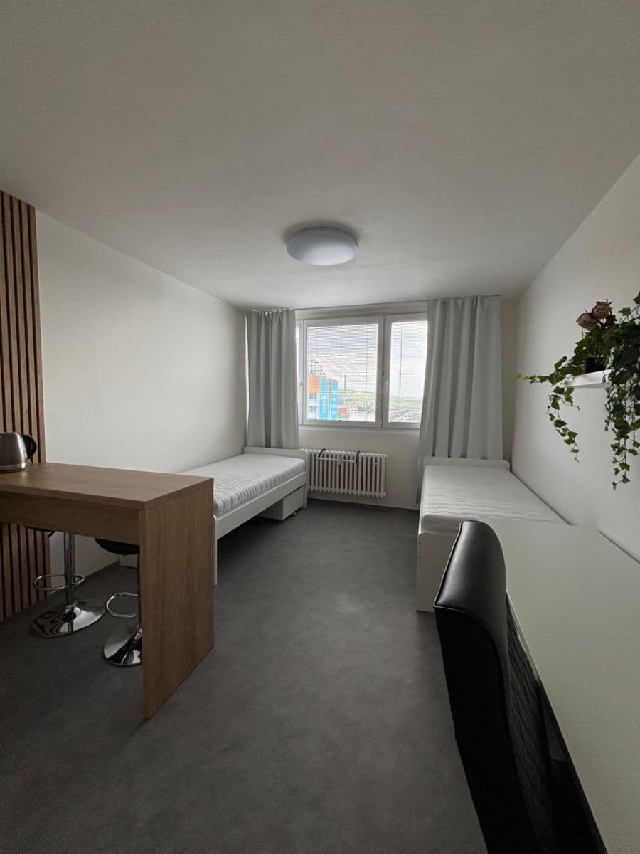 Pronájem bytu 1+kk 24 m², Halasovo náměstí, Brno, Jihomoravský kraj Pronájem bytu 1+kk 24 m², Halasovo náměstí, Brno, Jihomoravský kraj