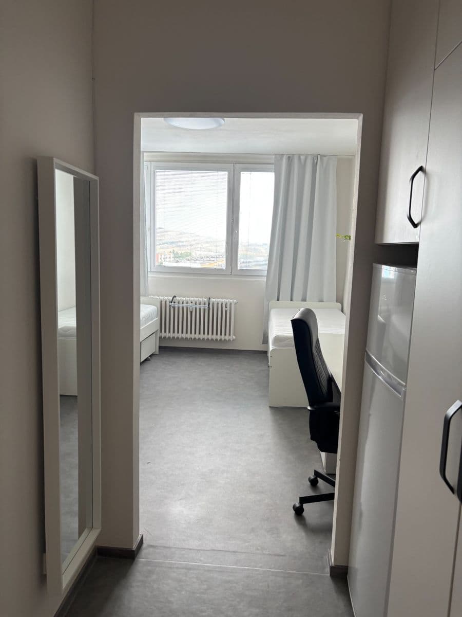 Pronájem bytu 1+kk 24 m², Halasovo náměstí, Brno, Jihomoravský kraj Pronájem bytu 1+kk 24 m², Halasovo náměstí, Brno, Jihomoravský kraj