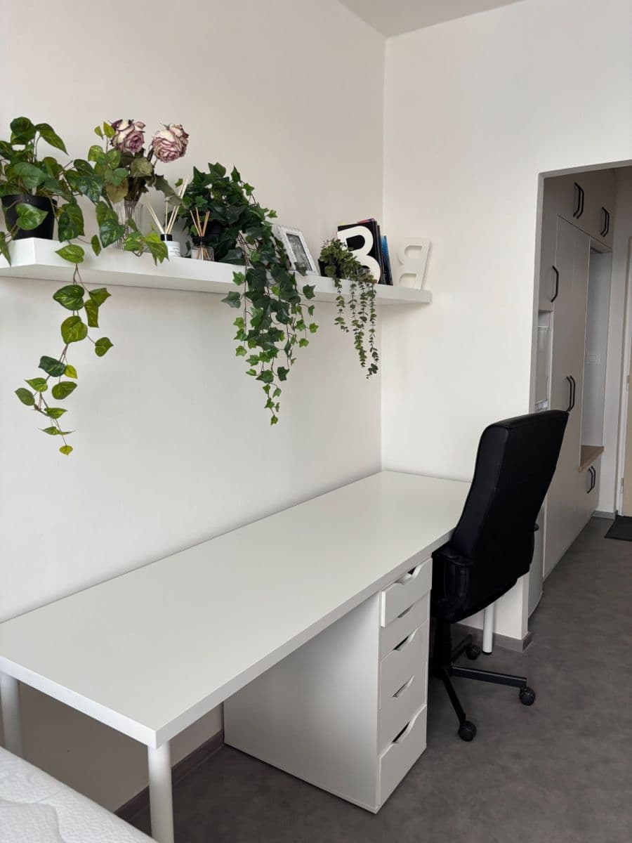 Pronájem bytu 1+kk 24 m², Halasovo náměstí, Brno, Jihomoravský kraj Pronájem bytu 1+kk 24 m², Halasovo náměstí, Brno, Jihomoravský kraj
