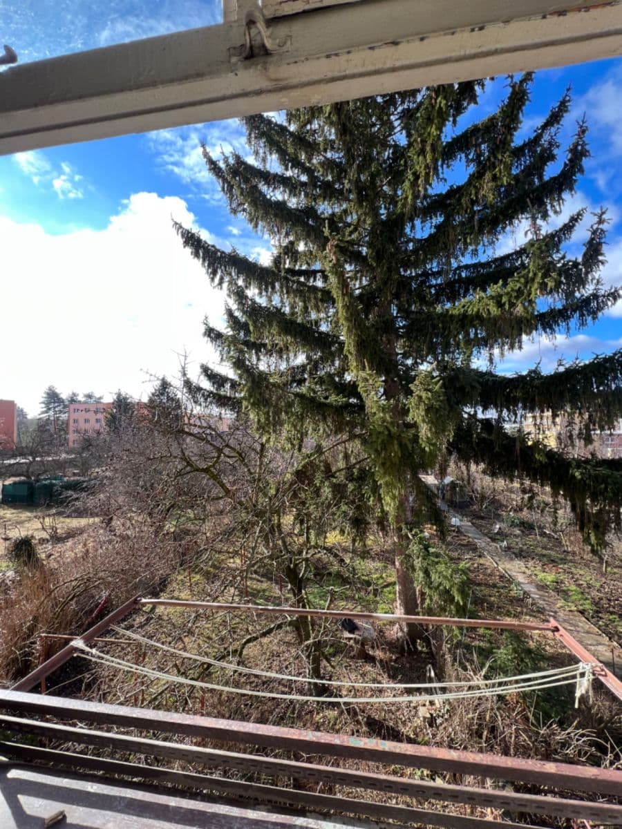 Pronájem bytu 1+1 36 m², Tilhonova, Brno, Jihomoravský kraj Pronájem bytu 1+1 36 m², Tilhonova, Brno, Jihomoravský kraj