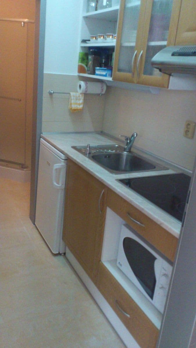 Pronájem bytu 1+1 45 m², Vodova, Brno, Jihomoravský kraj Pronájem bytu 1+1 45 m², Vodova, Brno, Jihomoravský kraj