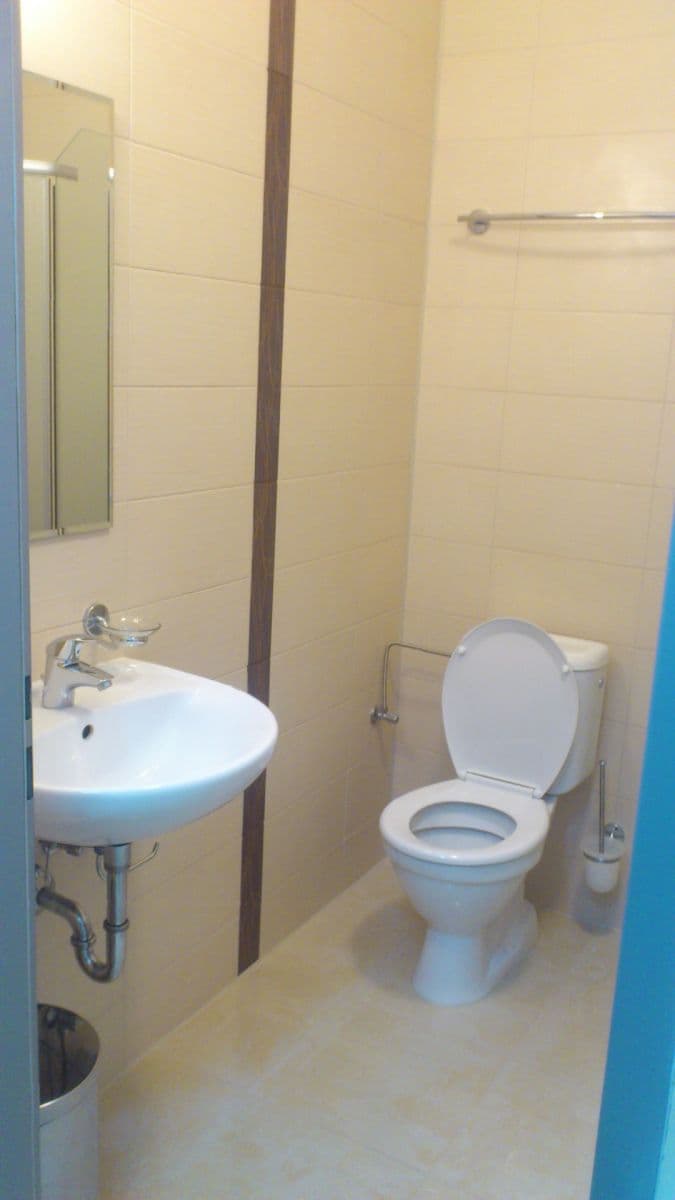 Pronájem bytu 1+1 45 m², Vodova, Brno, Jihomoravský kraj Pronájem bytu 1+1 45 m², Vodova, Brno, Jihomoravský kraj