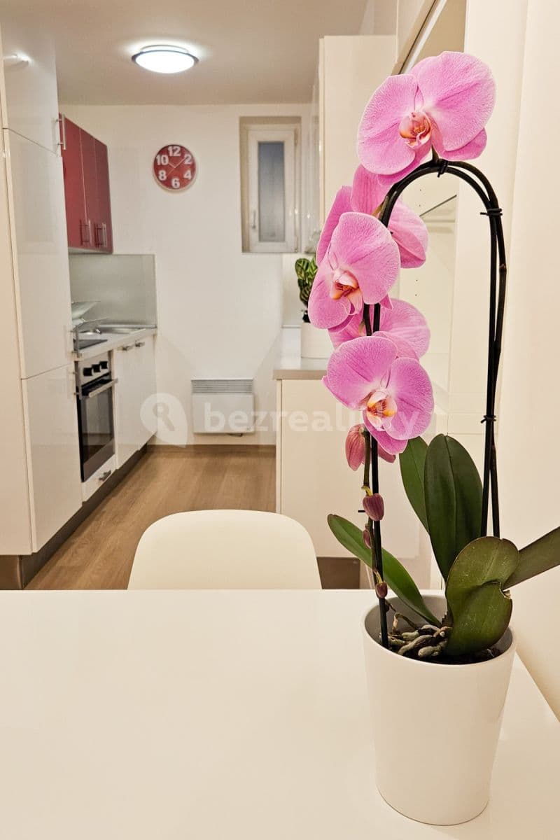 Pronájem bytu 2+1 65 m², Šimáčkova, Praha, Praha Pronájem bytu 2+1 65 m², Šimáčkova, Praha, Praha