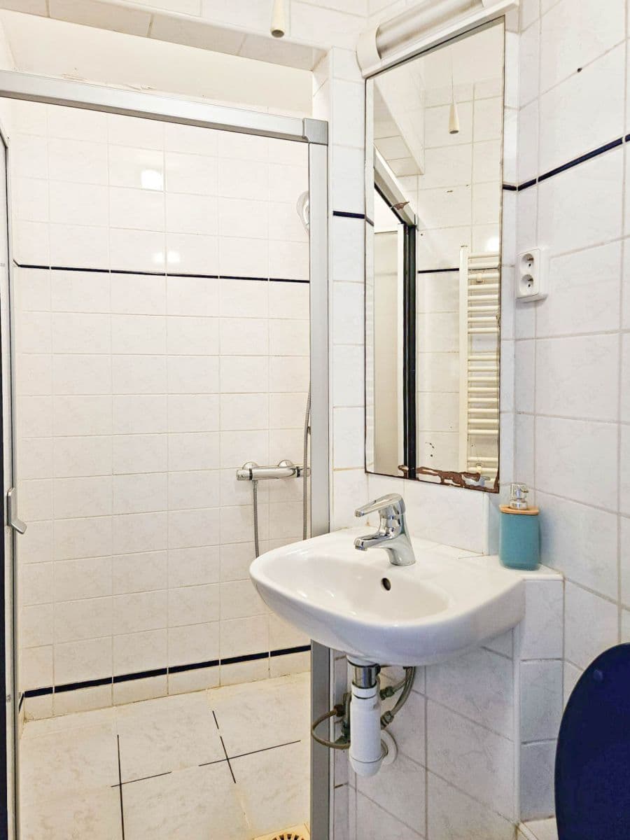 Pronájem bytu 2+1 47 m², U Slovanské pojišťovny, Praha, Praha Pronájem bytu 2+1 47 m², U Slovanské pojišťovny, Praha, Praha