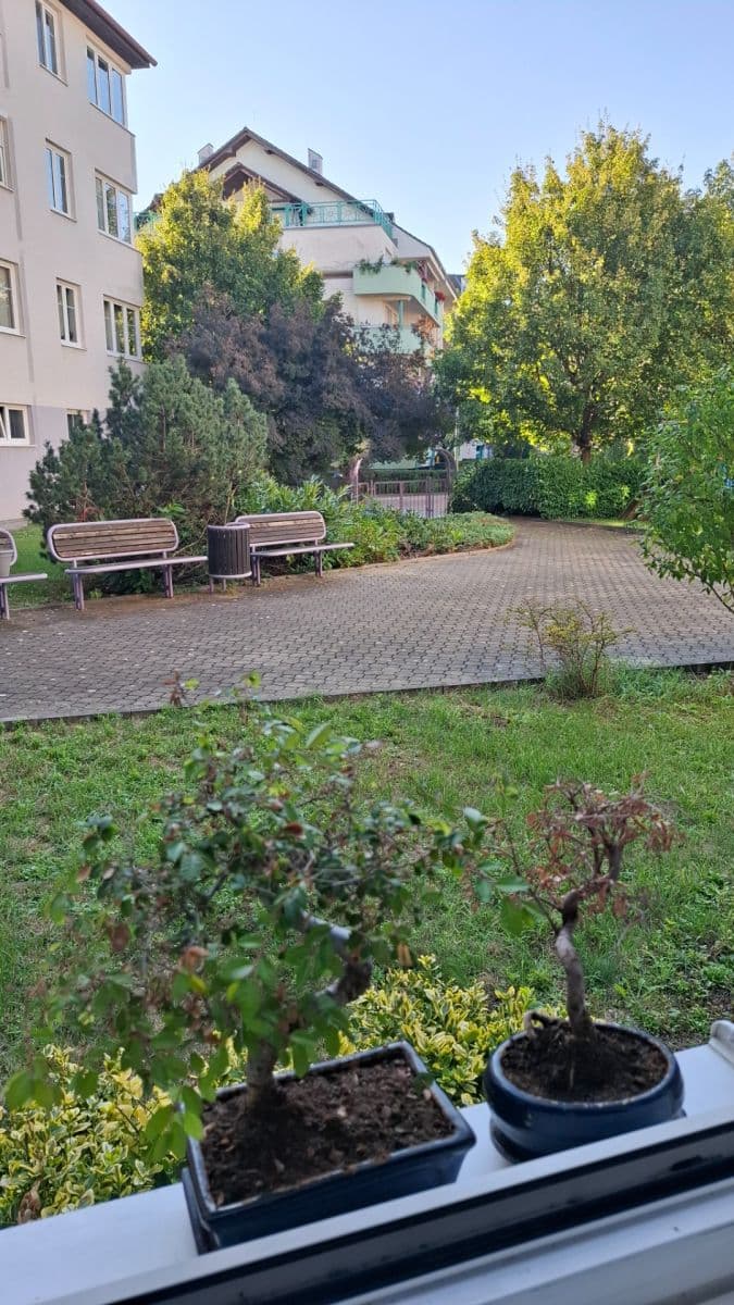 Pronájem bytu 2+kk 42 m², K Václavce, Praha, Praha Pronájem bytu 2+kk 42 m², K Václavce, Praha, Praha