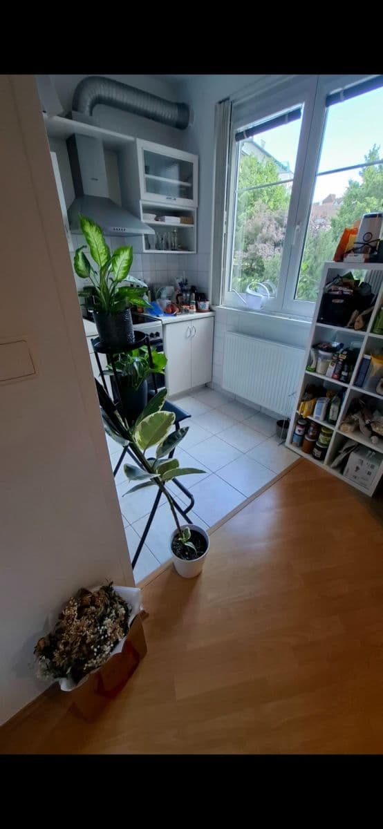 Pronájem bytu 2+kk 42 m², K Václavce, Praha, Praha Pronájem bytu 2+kk 42 m², K Václavce, Praha, Praha