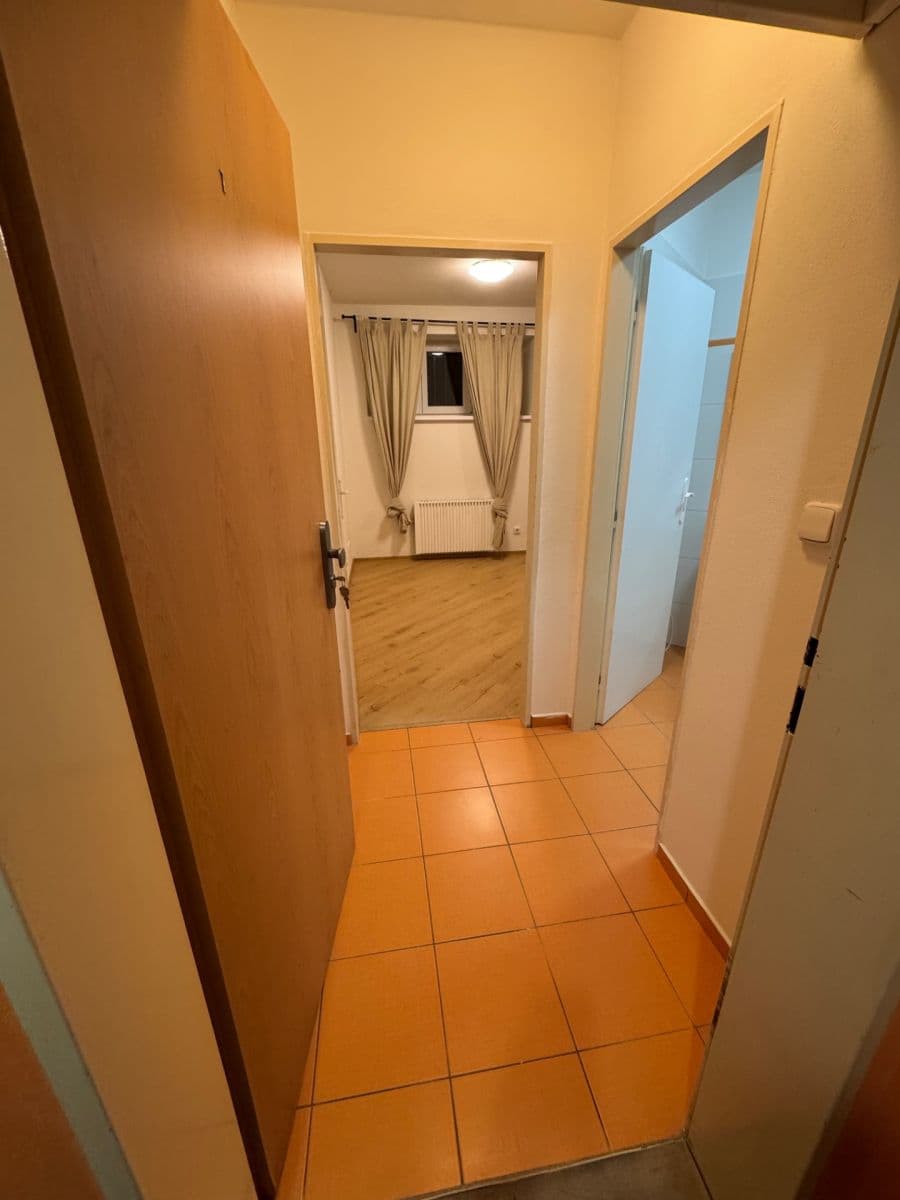 Pronájem bytu Garsoniéra 24 m², Tišnovská, Brno, Jihomoravský kraj Pronájem bytu Garsoniéra 24 m², Tišnovská, Brno, Jihomoravský kraj