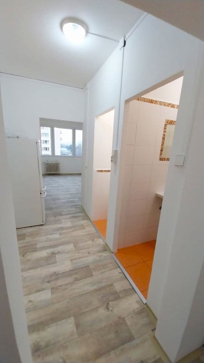 Pronájem bytu Garsoniéra 27 m², Nad lesním divadlem, Praha, Praha Pronájem bytu Garsoniéra 27 m², Nad lesním divadlem, Praha, Praha