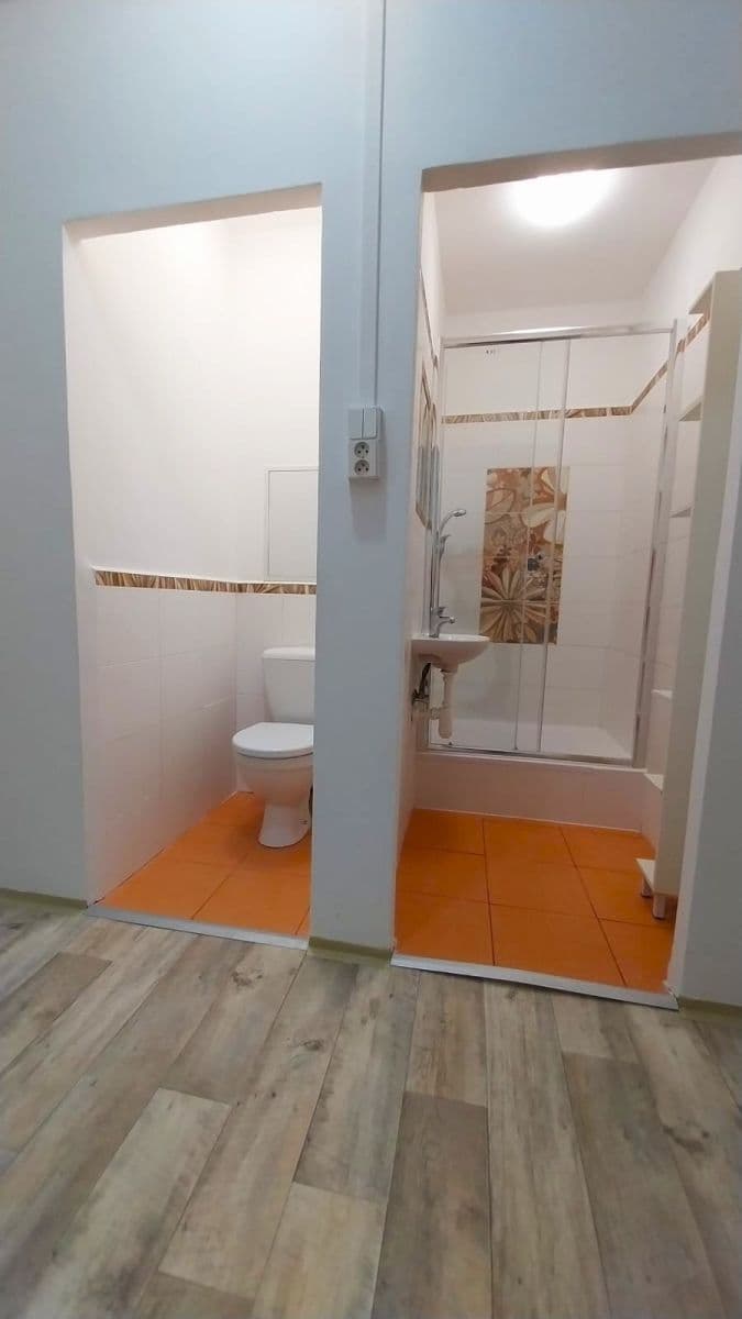 Pronájem bytu Garsoniéra 27 m², Nad lesním divadlem, Praha, Praha Pronájem bytu Garsoniéra 27 m², Nad lesním divadlem, Praha, Praha