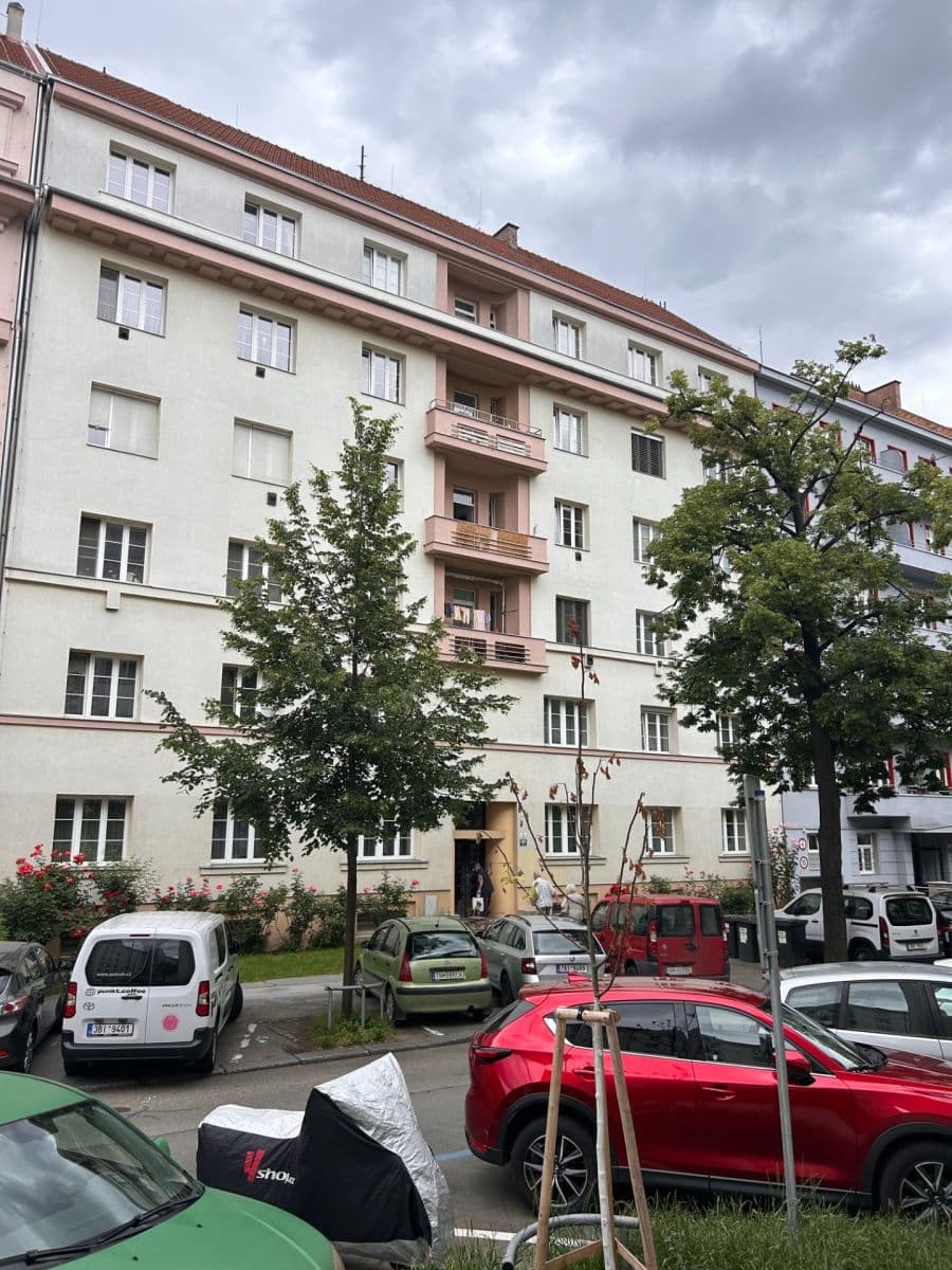 Pronájem bytu 2+1 56 m², Botanická, Brno, Jihomoravský kraj Pronájem bytu 2+1 56 m², Botanická, Brno, Jihomoravský kraj