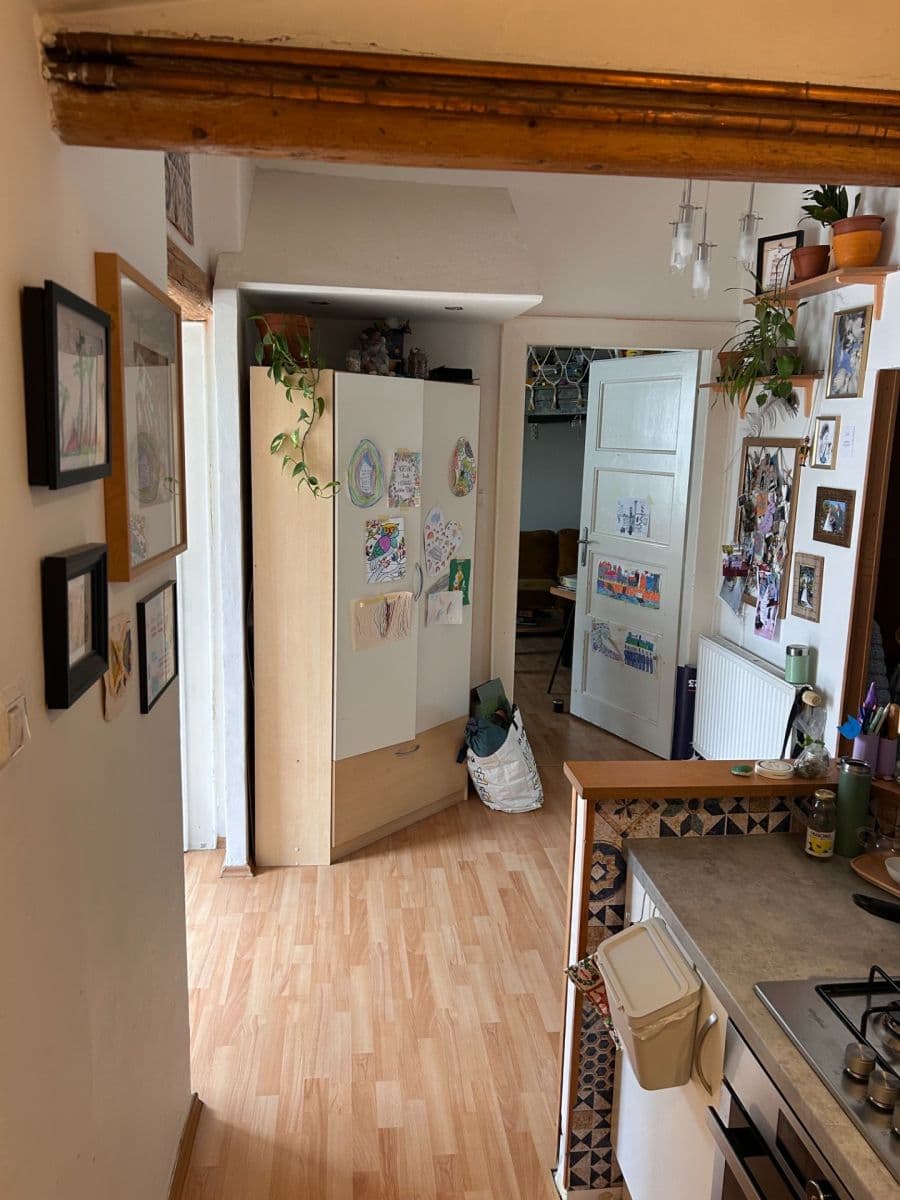 Pronájem bytu 2+1 56 m², Botanická, Brno, Jihomoravský kraj Pronájem bytu 2+1 56 m², Botanická, Brno, Jihomoravský kraj