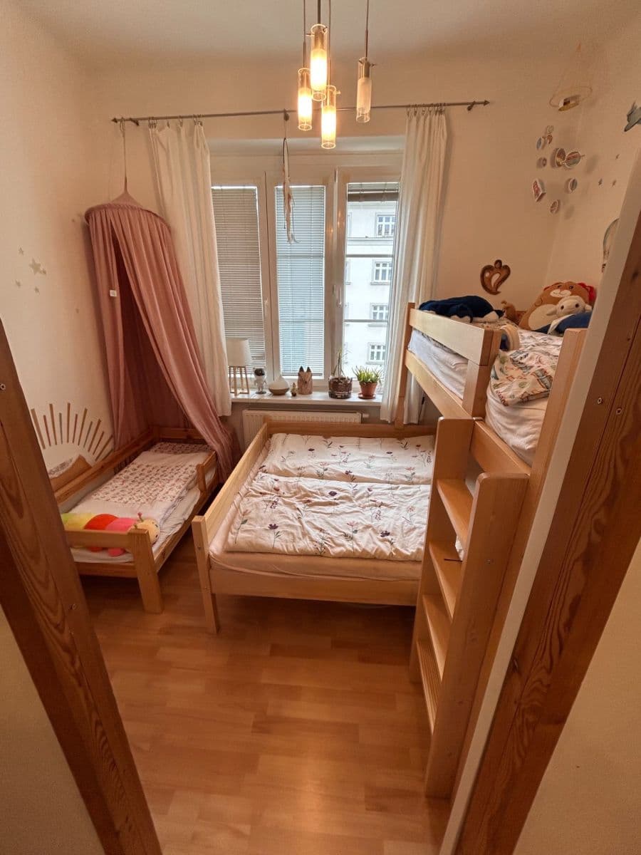 Pronájem bytu 2+1 56 m², Botanická, Brno, Jihomoravský kraj Pronájem bytu 2+1 56 m², Botanická, Brno, Jihomoravský kraj