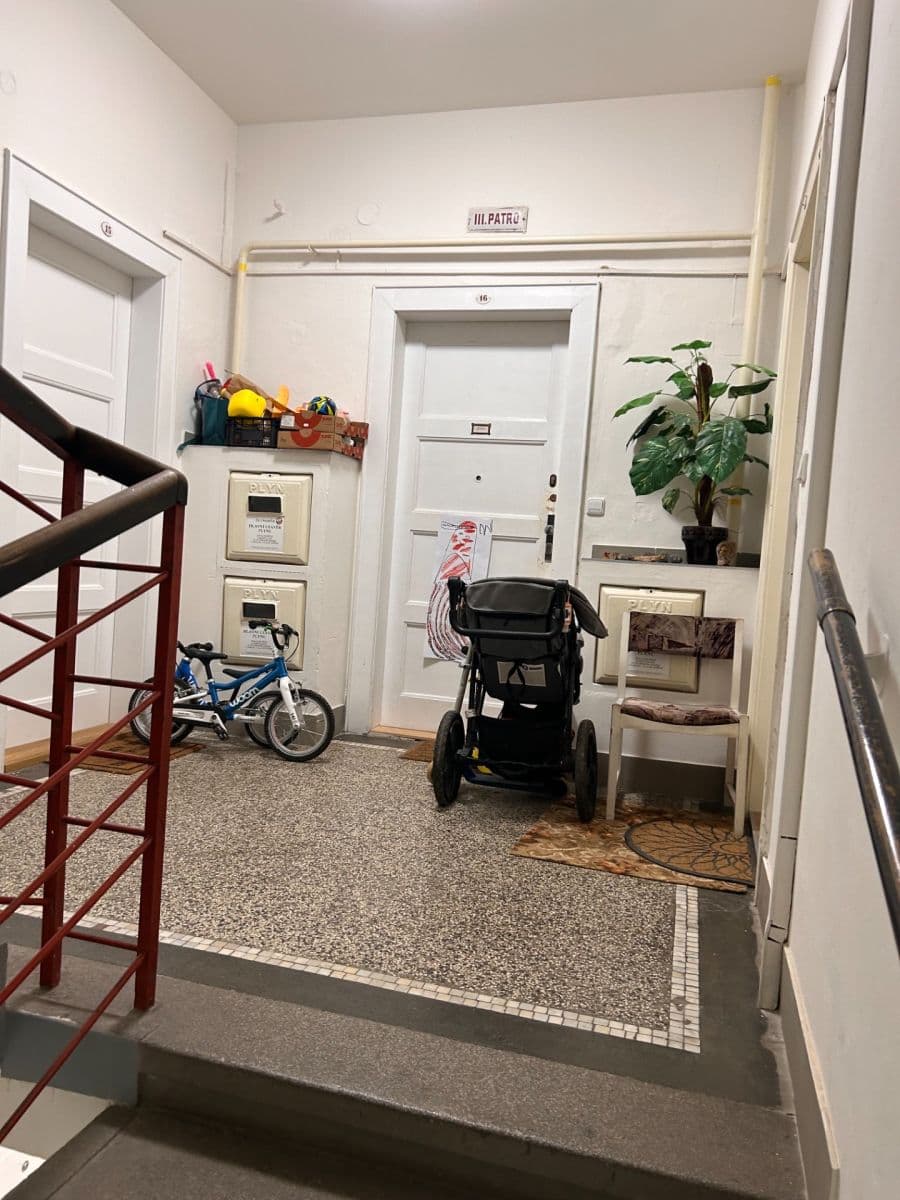 Pronájem bytu 2+1 56 m², Botanická, Brno, Jihomoravský kraj Pronájem bytu 2+1 56 m², Botanická, Brno, Jihomoravský kraj
