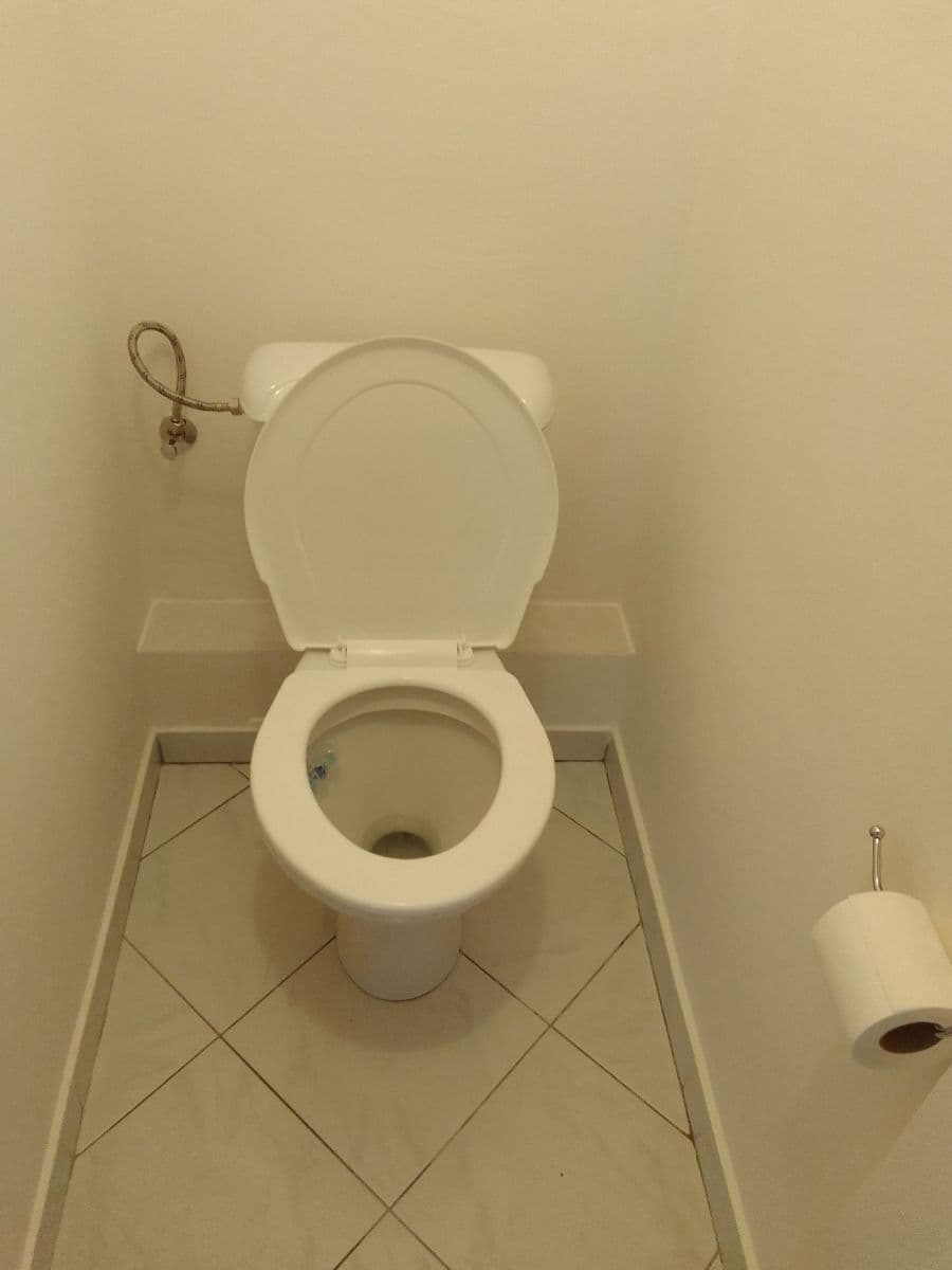 Pronájem bytu 2+1 56 m², Jedlová, Černošice, Středočeský kraj Pronájem bytu 2+1 56 m², Jedlová, Černošice, Středočeský kraj