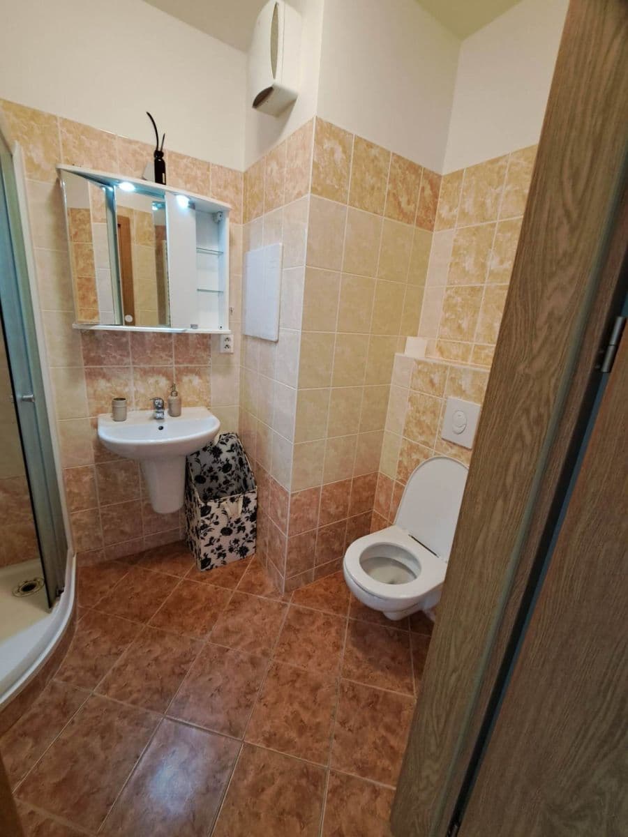 Pronájem bytu Garsoniéra 32 m², Hornoměcholupská, Praha, Praha Pronájem bytu Garsoniéra 32 m², Hornoměcholupská, Praha, Praha