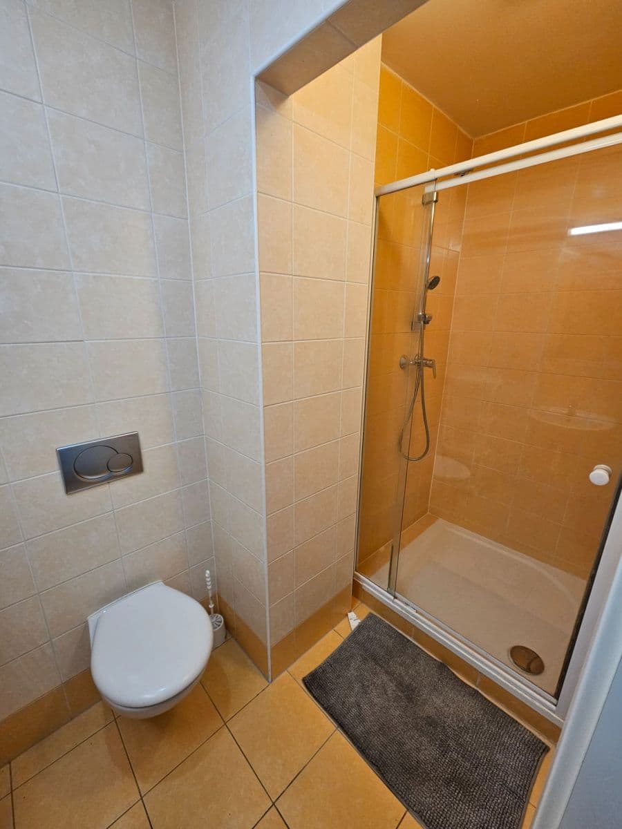 Pronájem bytu 1+1 35 m², Kounicova, Brno, Jihomoravský kraj Pronájem bytu 1+1 35 m², Kounicova, Brno, Jihomoravský kraj