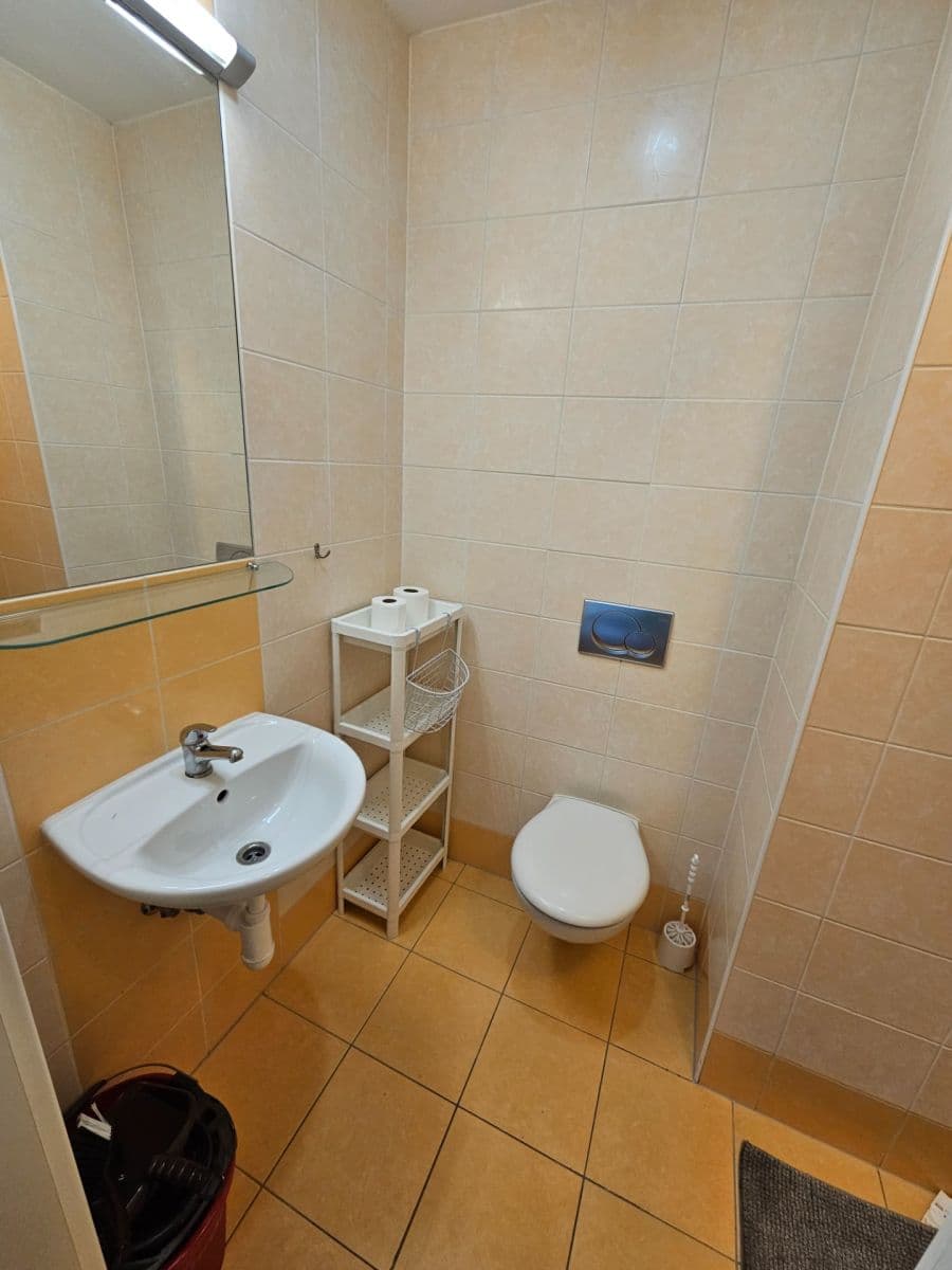 Pronájem bytu 1+1 35 m², Kounicova, Brno, Jihomoravský kraj Pronájem bytu 1+1 35 m², Kounicova, Brno, Jihomoravský kraj