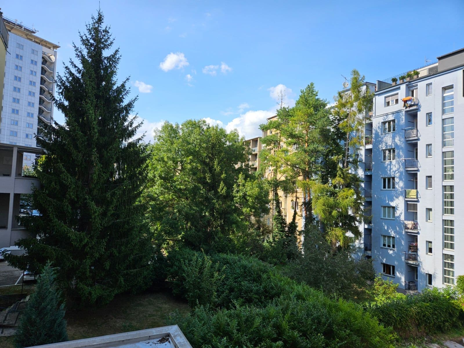 Pronájem bytu 1+1 35 m², Kounicova, Brno, Jihomoravský kraj Pronájem bytu 1+1 35 m², Kounicova, Brno, Jihomoravský kraj