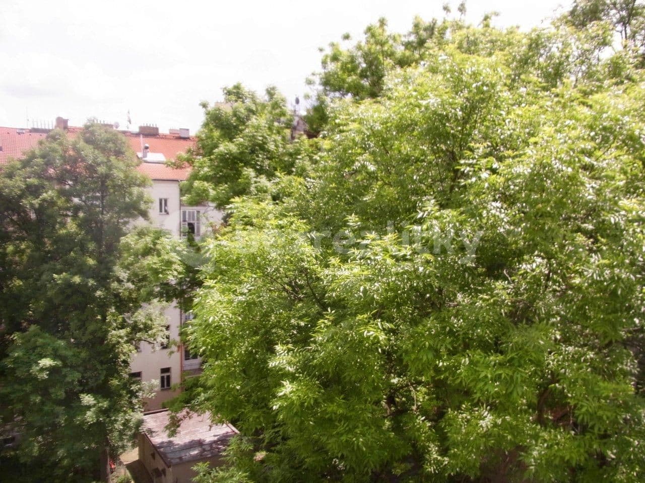 Pronájem bytu 1+1 40 m², U vodárny, Praha, Praha Pronájem bytu 1+1 40 m², U vodárny, Praha, Praha