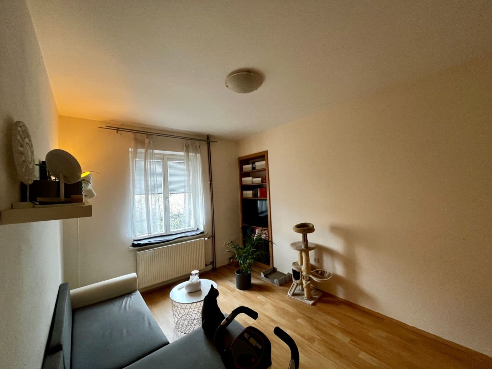 Pronájem bytu 1+kk 22 m², Sakařova, Pardubice, Pardubický kraj Pronájem bytu 1+kk 22 m², Sakařova, Pardubice, Pardubický kraj