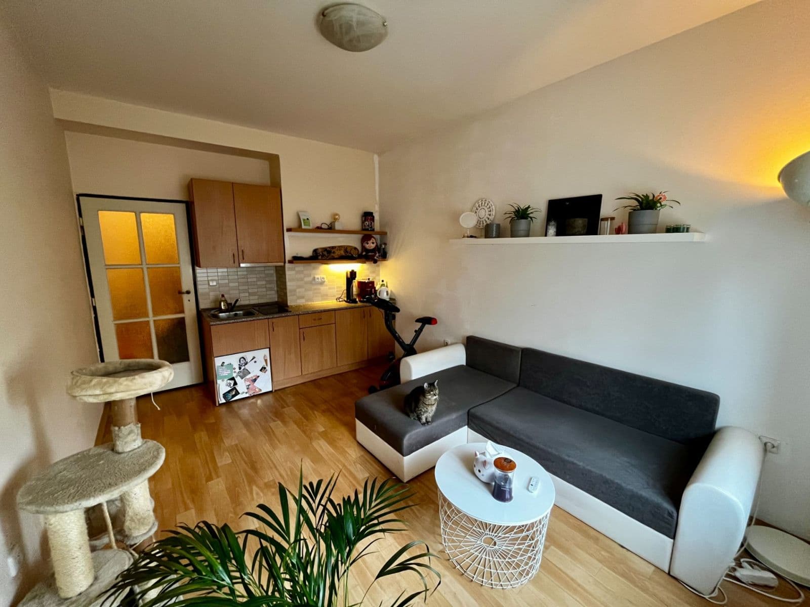 Pronájem bytu 1+kk 22 m², Sakařova, Pardubice, Pardubický kraj Pronájem bytu 1+kk 22 m², Sakařova, Pardubice, Pardubický kraj