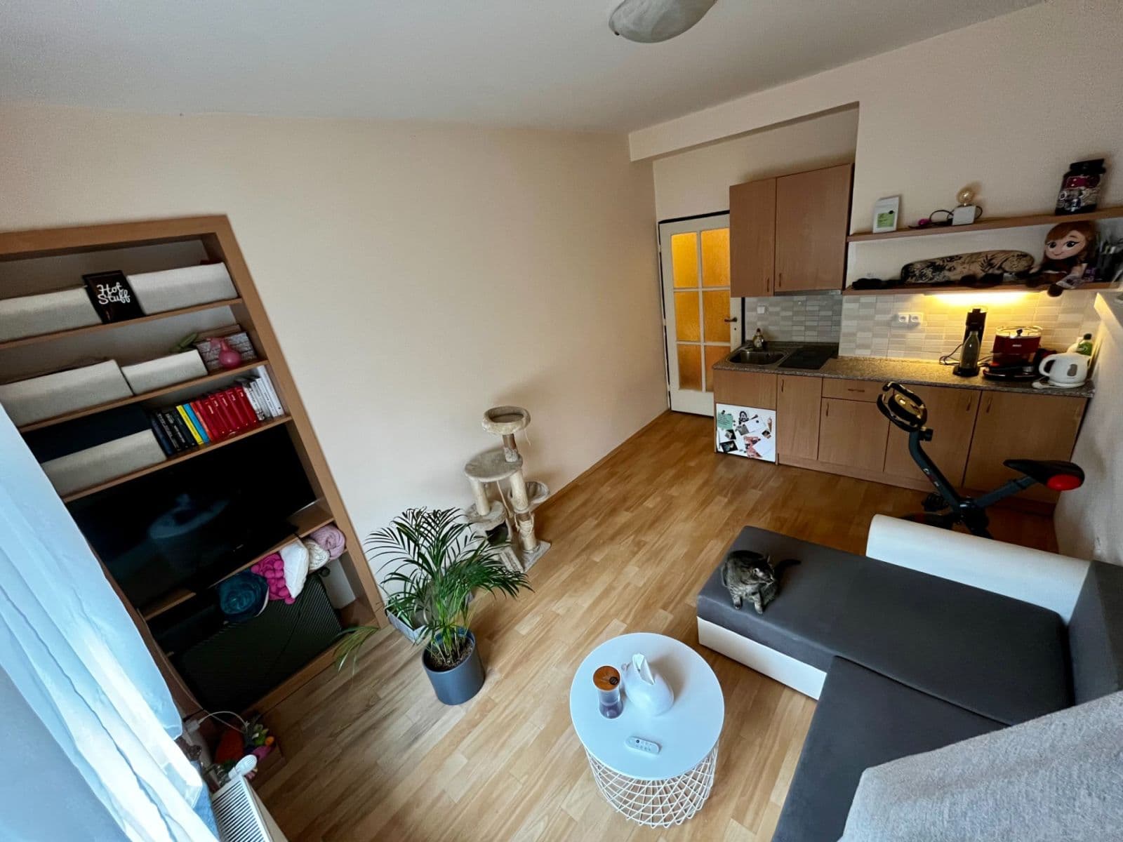 Pronájem bytu 1+kk 22 m², Sakařova, Pardubice, Pardubický kraj Pronájem bytu 1+kk 22 m², Sakařova, Pardubice, Pardubický kraj