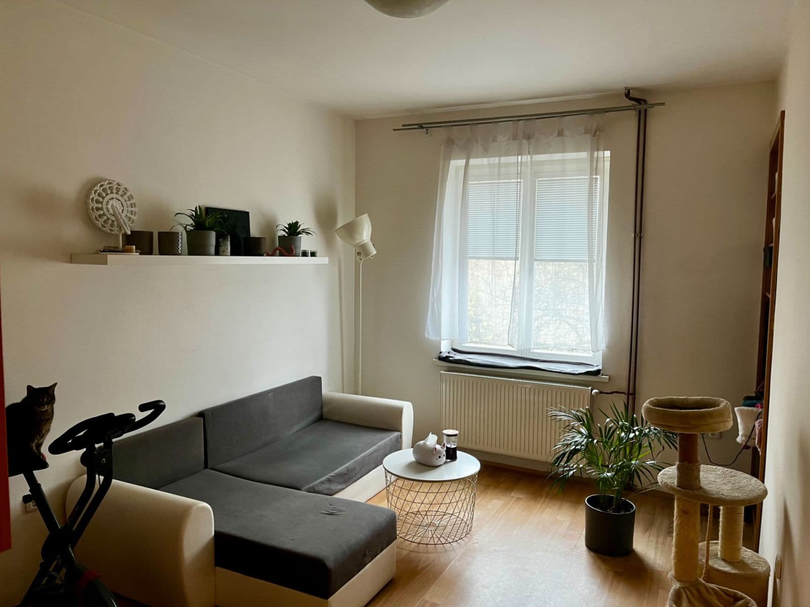 Pronájem bytu 1+kk 22 m², Sakařova, Pardubice, Pardubický kraj Pronájem bytu 1+kk 22 m², Sakařova, Pardubice, Pardubický kraj