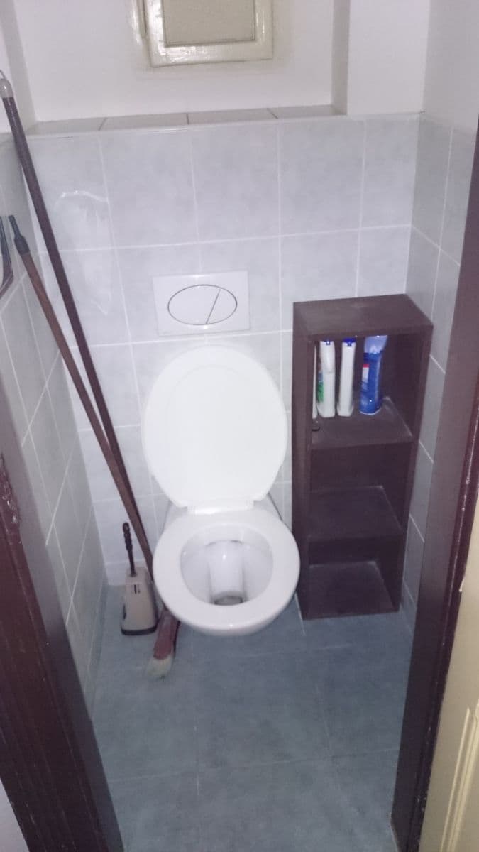 Pronájem bytu 1+1 35 m², Vrchlického, Praha, Praha Pronájem bytu 1+1 35 m², Vrchlického, Praha, Praha