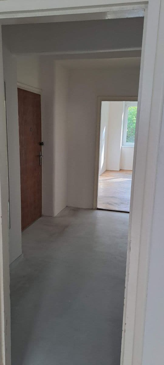 Pronájem nebytového prostoru 45 m², Tučkova, Brno, Jihomoravský kraj Pronájem nebytového prostoru 45 m², Tučkova, Brno, Jihomoravský kraj